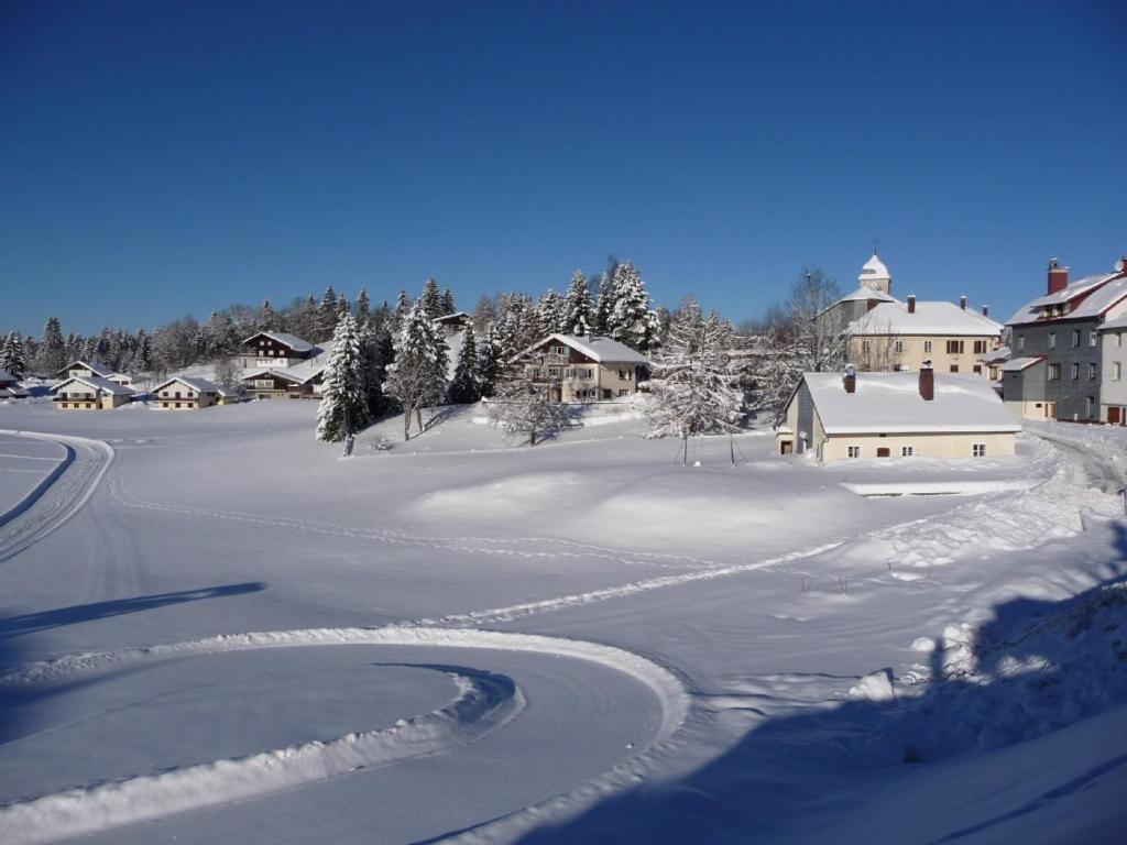 Le Tetras Villa Lamoura Eksteriør billede