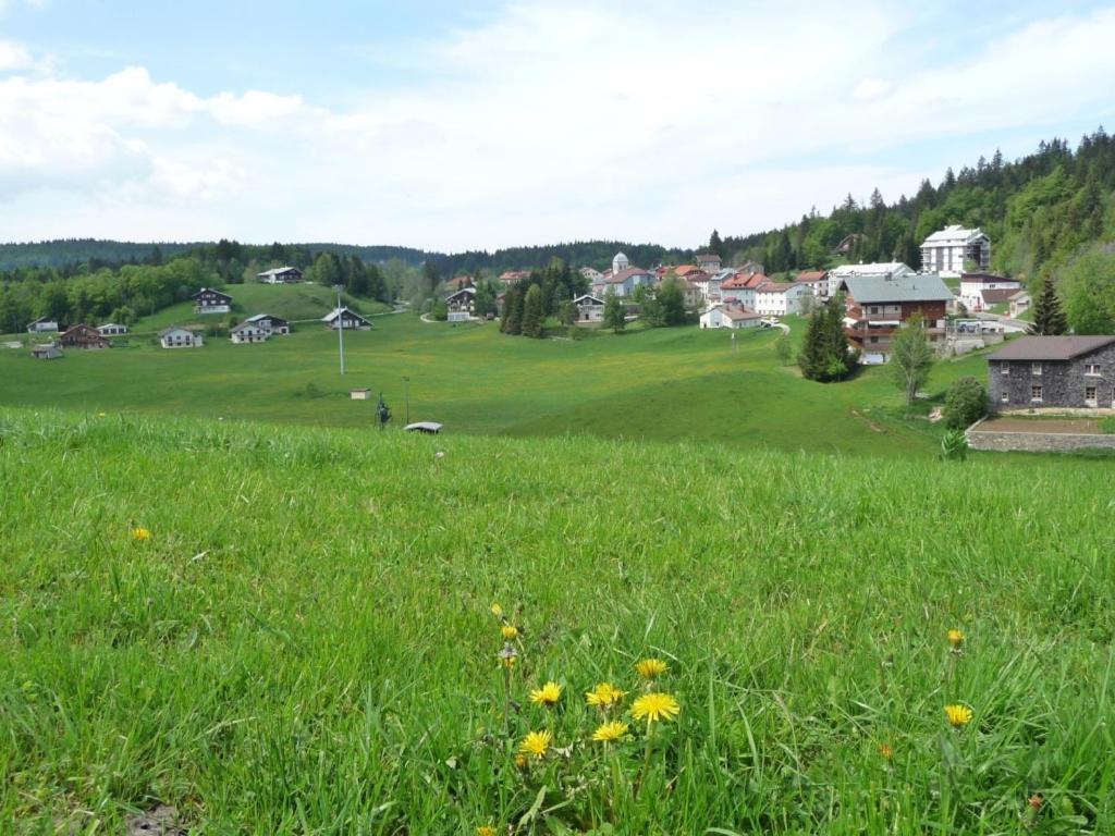 Le Tetras Villa Lamoura Eksteriør billede