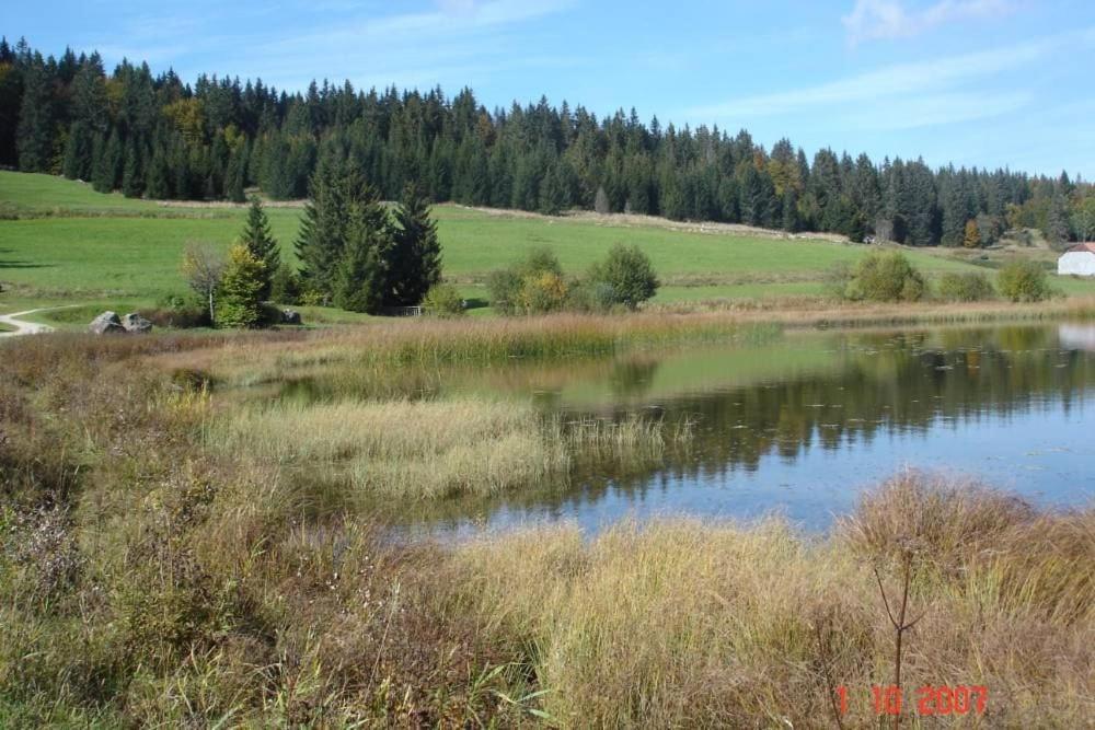 Le Tetras Villa Lamoura Eksteriør billede
